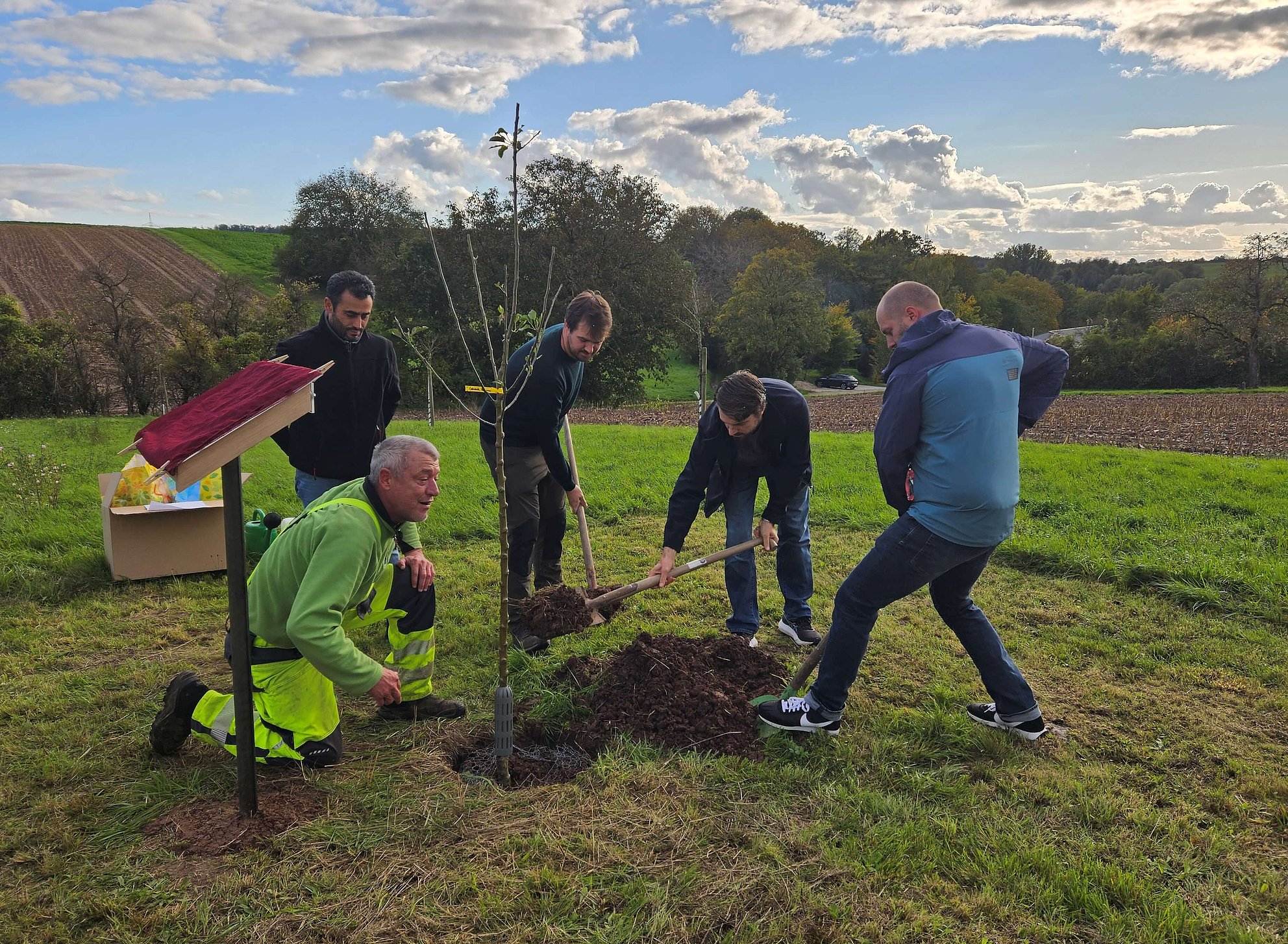 Pflanzen des Jahrgangsbaumes 2023 in Stebbach