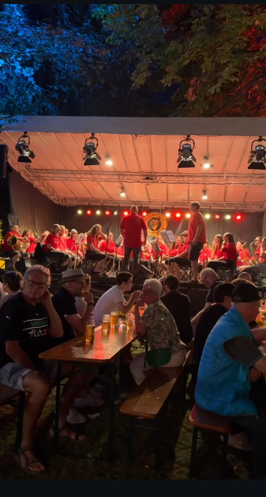 Parkfest Gemmingen 2024
