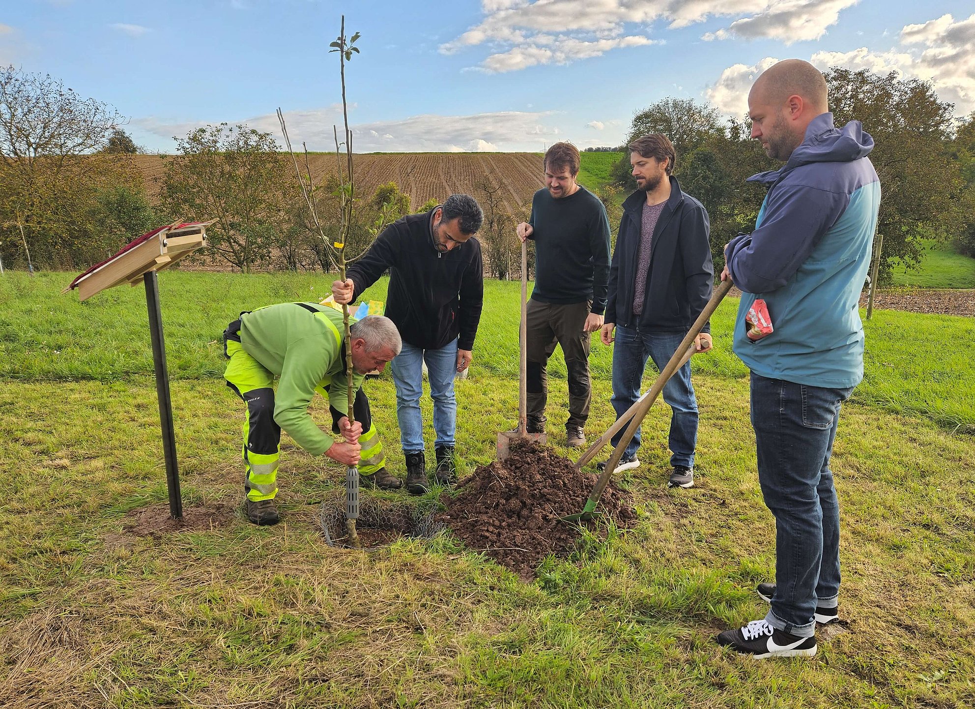 Pflanzen des Jahrgangsbaumes 2023 in Stebbach