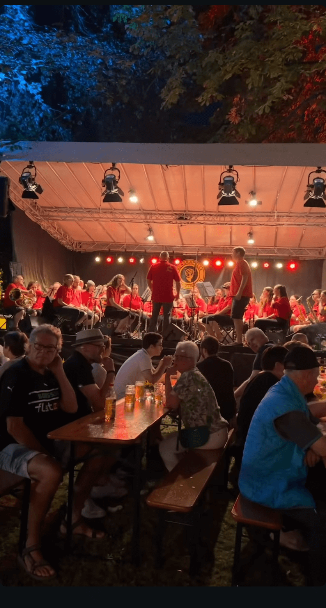 Parkfest Gemmingen 2024