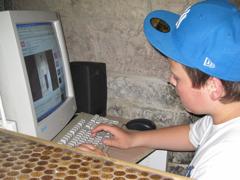 Jugendlicher am PC